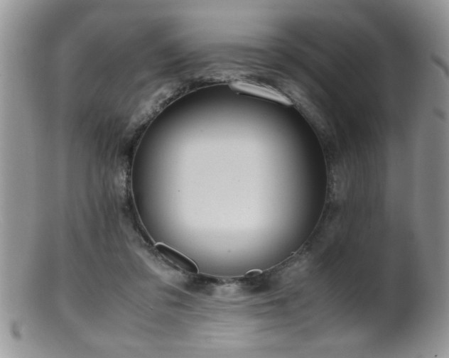 X0000099510309200805151506