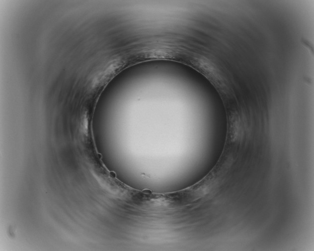 X0000099510310200805151506