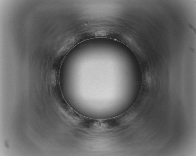 X0000099510311200805151506