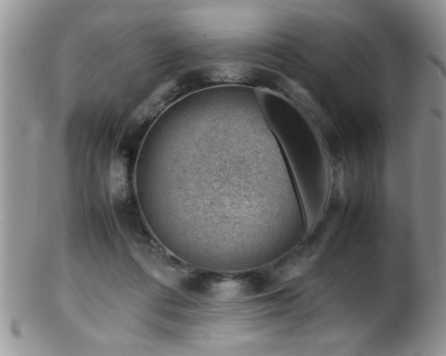 X0000099510312200805151506