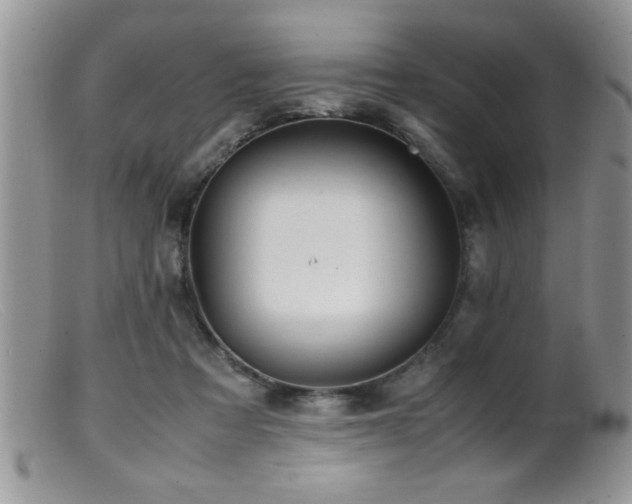 X0000099510313200805151506