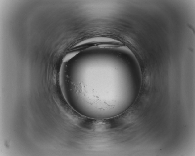X0000099510315200805151506