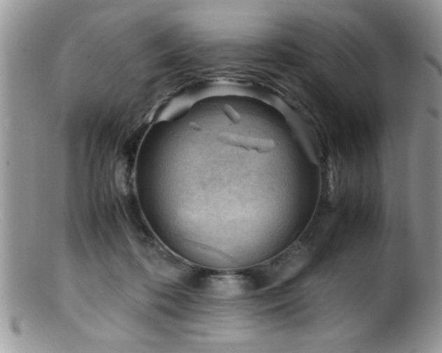 X0000099510316200805151506