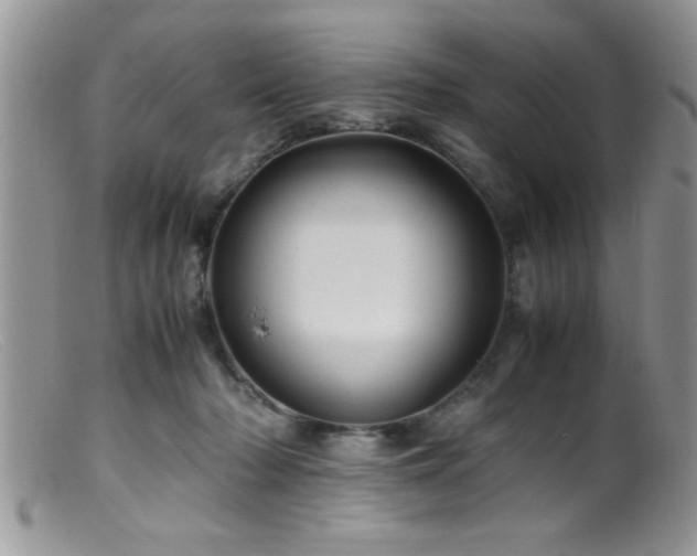 X0000099510318200805151506