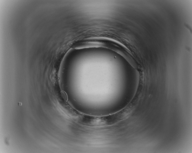 X0000099510319200805151506