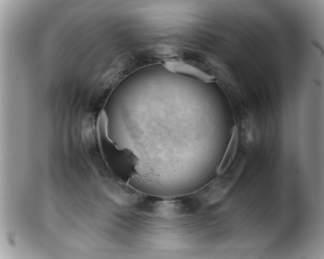 X0000099510320200805151506