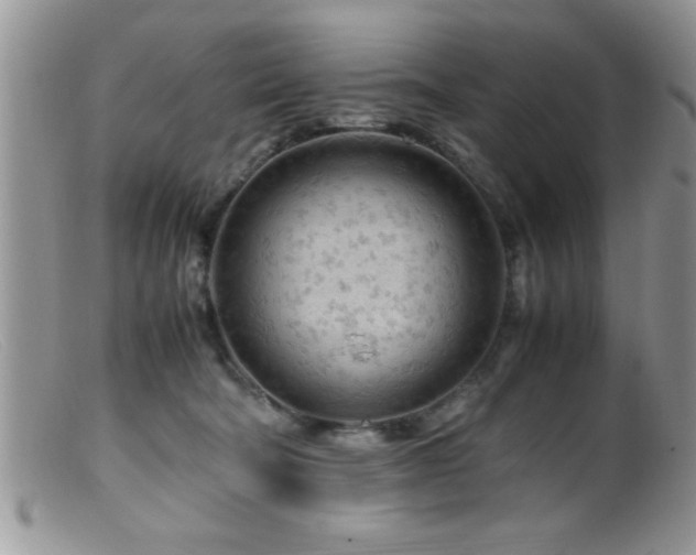 X0000099510322200805151506