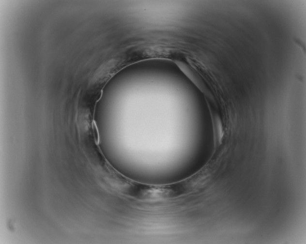 X0000099510323200805151506