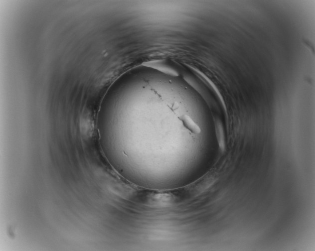 X0000099510324200805151506