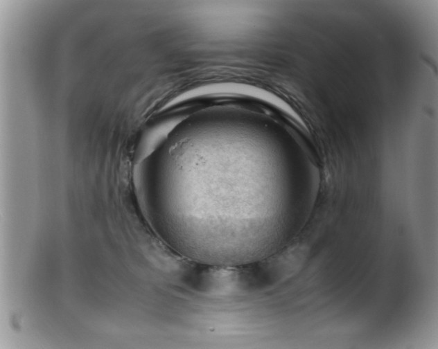 X0000099510325200805151506