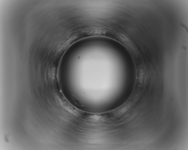 X0000099510326200805151506