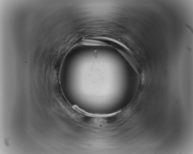 X0000099510327200805151506