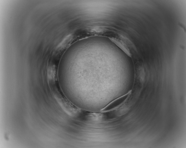 X0000099510328200805151506