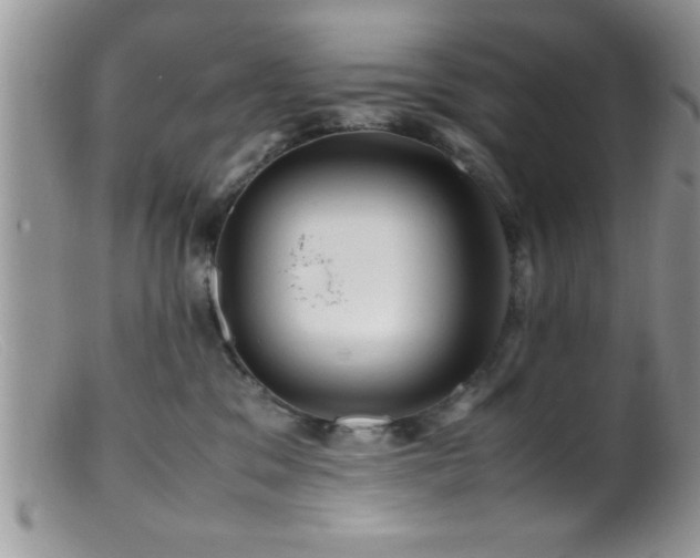 X0000099510329200805151506