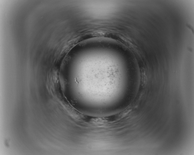 X0000099510331200805151506