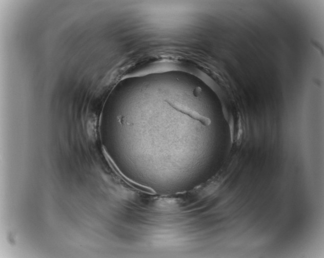 X0000099510332200805151506