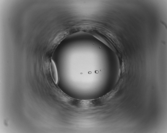 X0000099510333200805151506