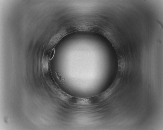 X0000099510334200805151506