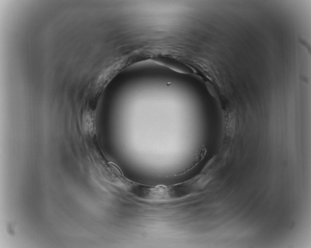 X0000099510335200805151506