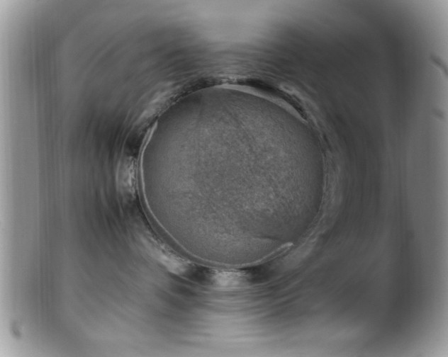 X0000099510336200805151506