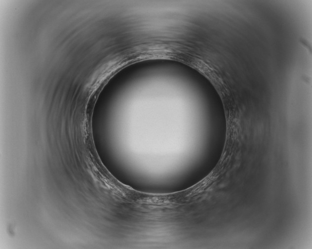 X0000099510338200805151505