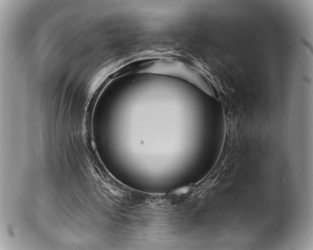 X0000099510340200805151505