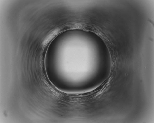 X0000099510341200805151505