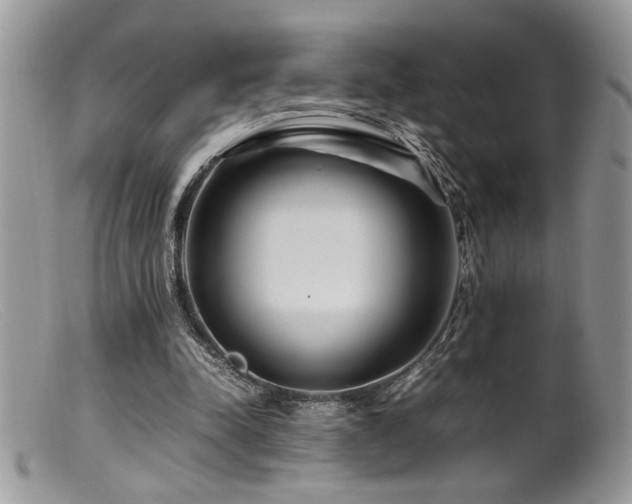 X0000099510342200805151505