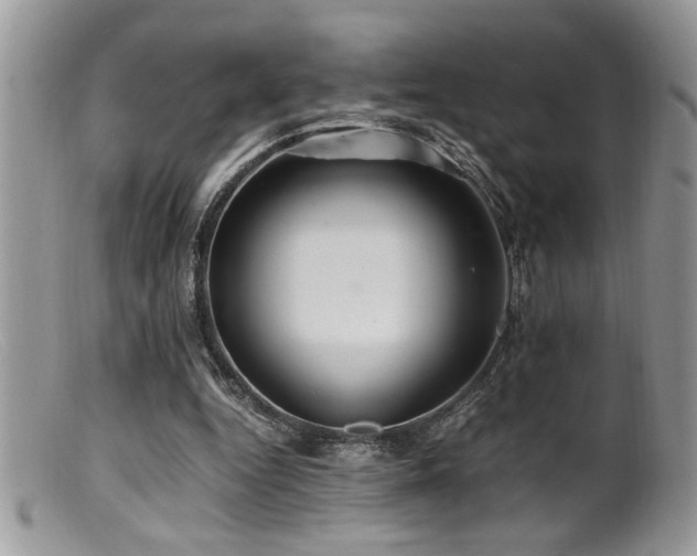 X0000099510344200805151505