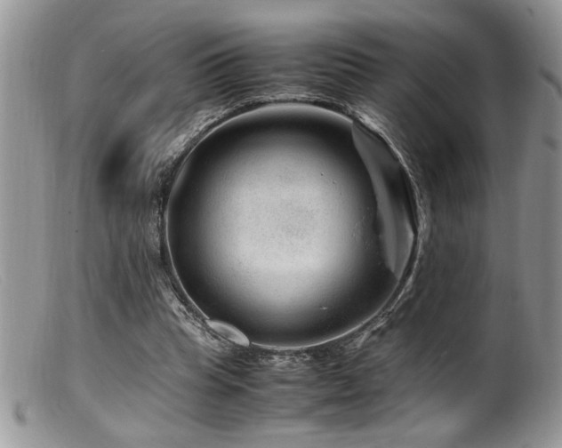 X0000099510345200805151505