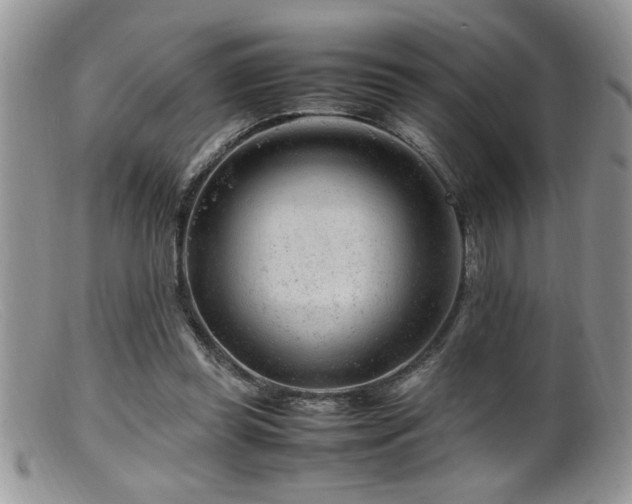 X0000099510349200805151505