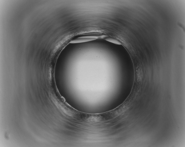 X0000099510350200805151505