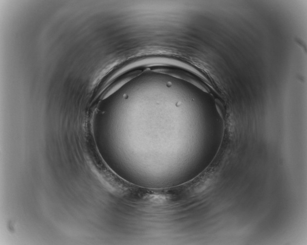 X0000099510352200805151505