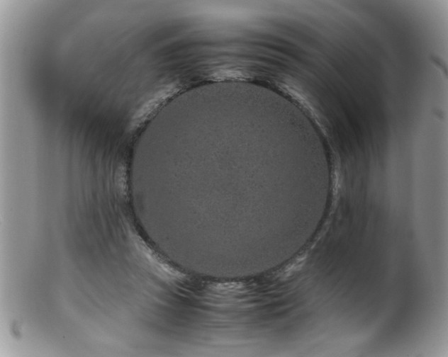 X0000099510353200805151505