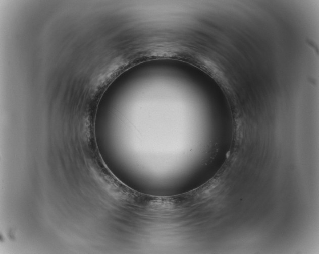 X0000099510354200805151505