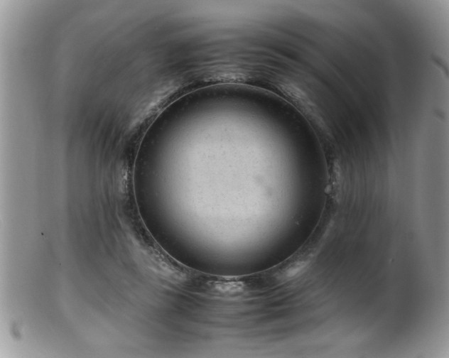 X0000099510355200805151505