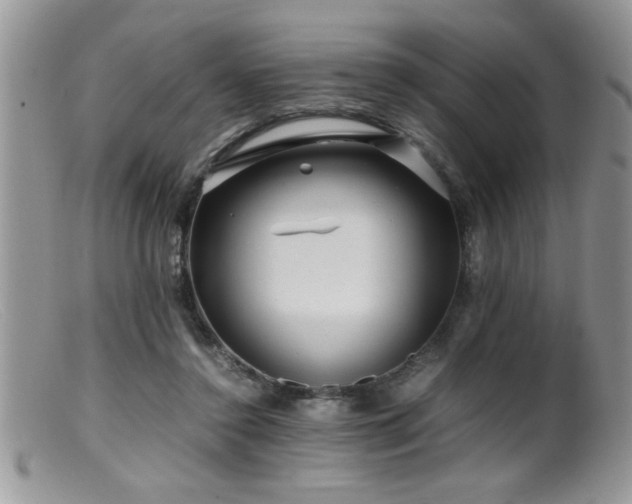 X0000099510356200805151505