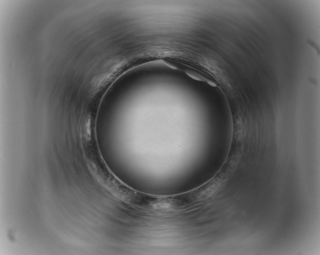 X0000099510358200805151505