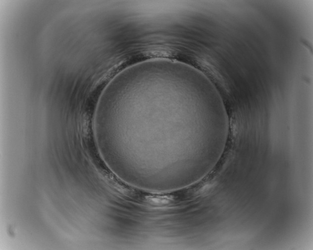 X0000099510359200805151505