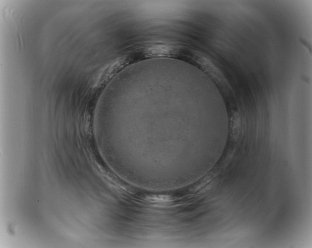 X0000099510361200805151506