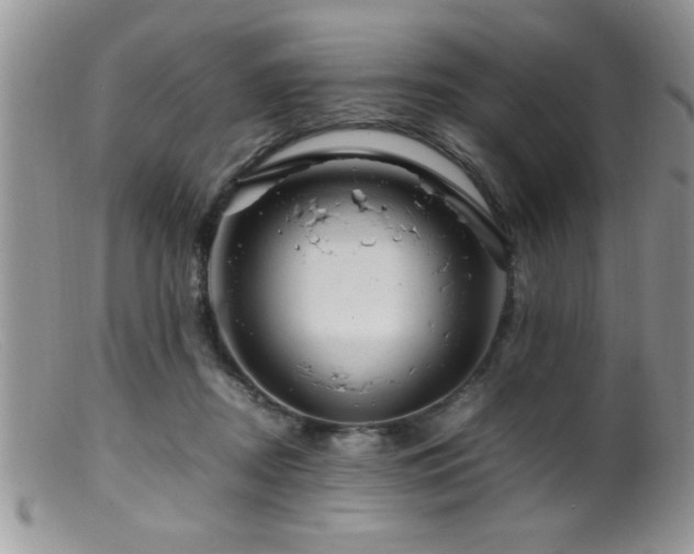 X0000099510362200805151506