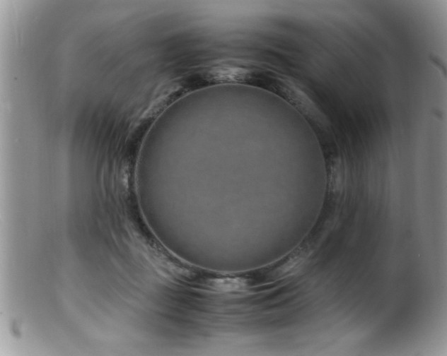 X0000099510363200805151506