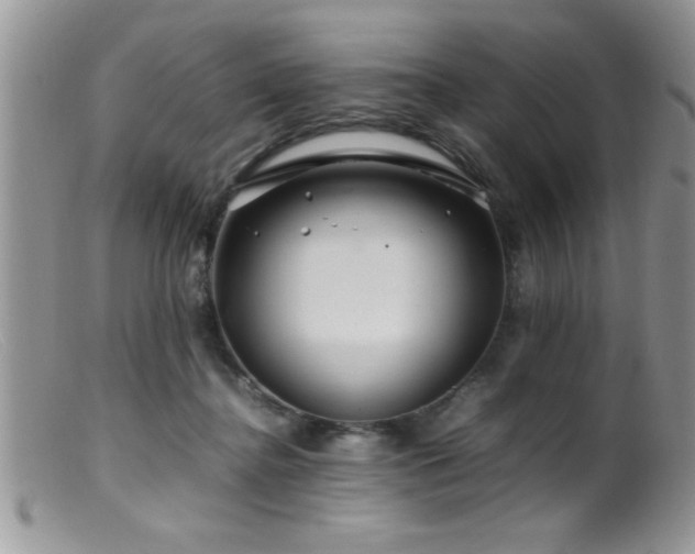 X0000099510364200805151506