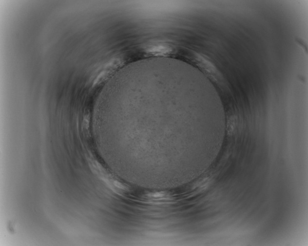 X0000099510365200805151506