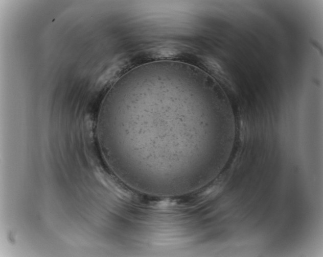 X0000099510366200805151506