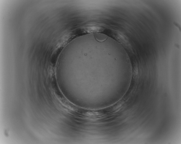X0000099510367200805151506