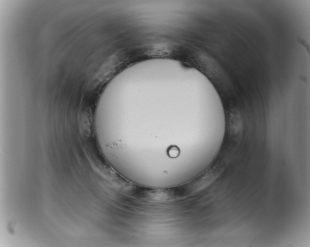 X0000099510370200805151506