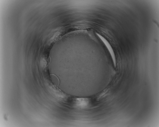 X0000099510371200805151506
