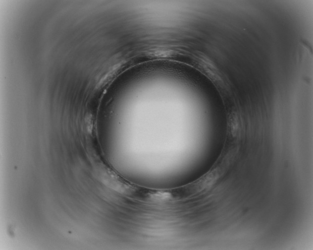 X0000099510374200805151506