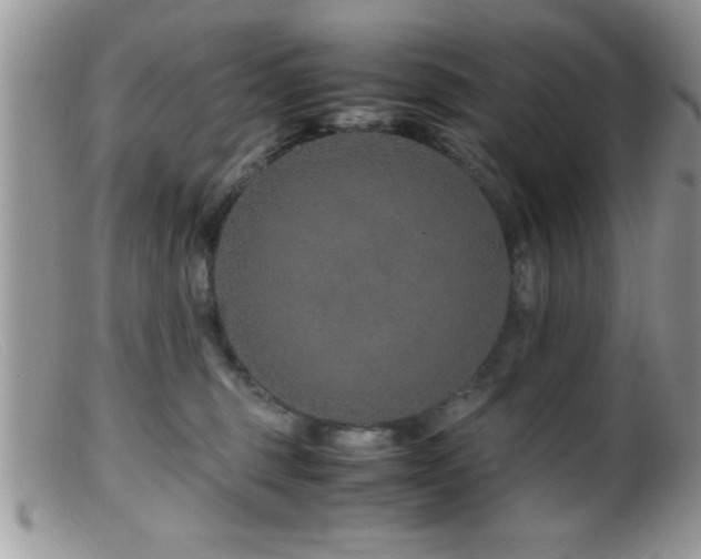 X0000099510375200805151506